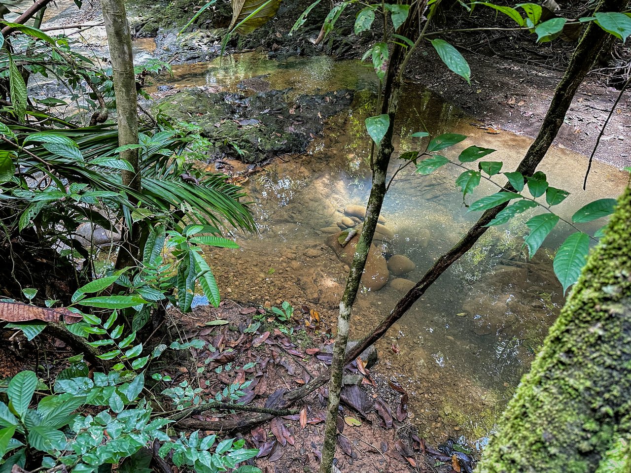 Jungle River Retreat with Airbnb & Build Space in Ojochal