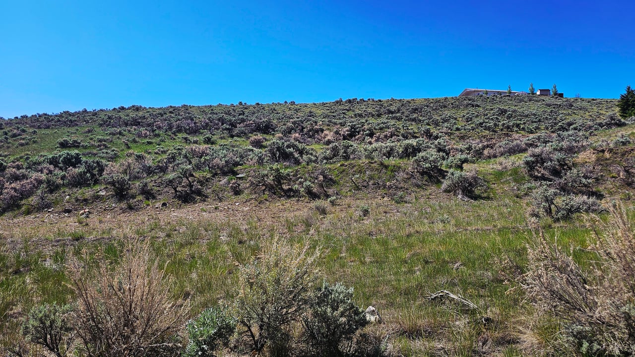 NKN Chipps Creek Road