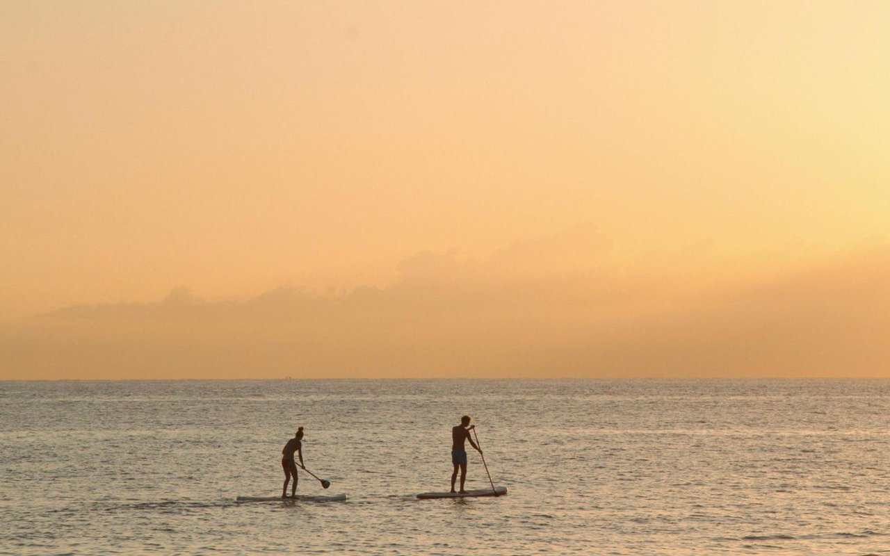 Top Outdoor Activities in and around Sarasota FL