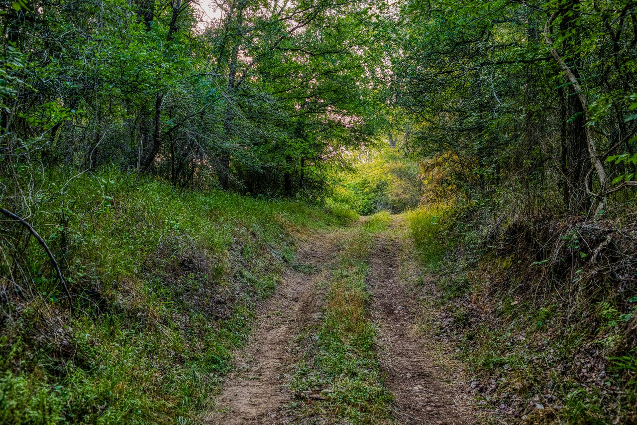 Revival Ranch TX