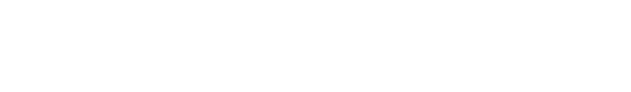 Light Logo