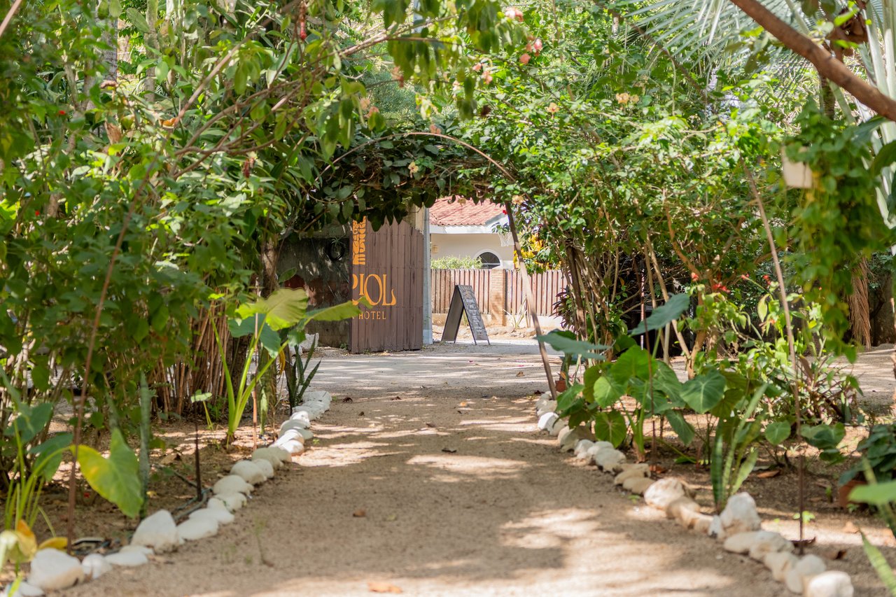 Hotel Curiol | Turnkey Boutique Jungle Hotel with Restaurant & Bar in Potrero