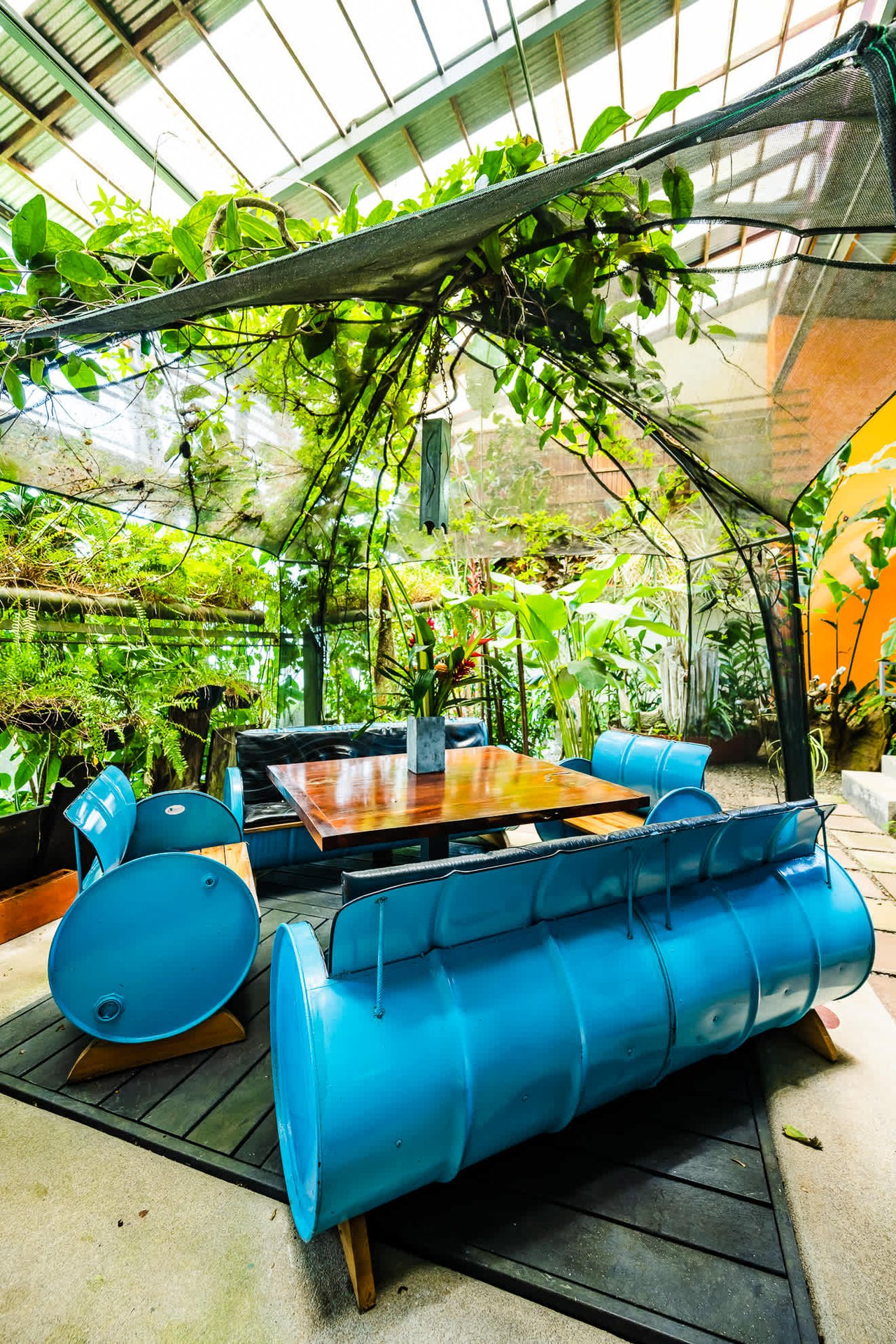 Celeste Mountain Lodge | Mountain Hotel/Resort/Hostel For Sale!