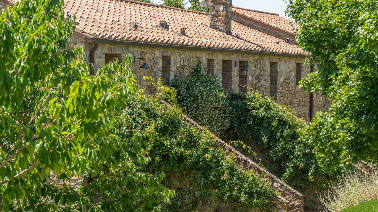 PODERE CIGNO