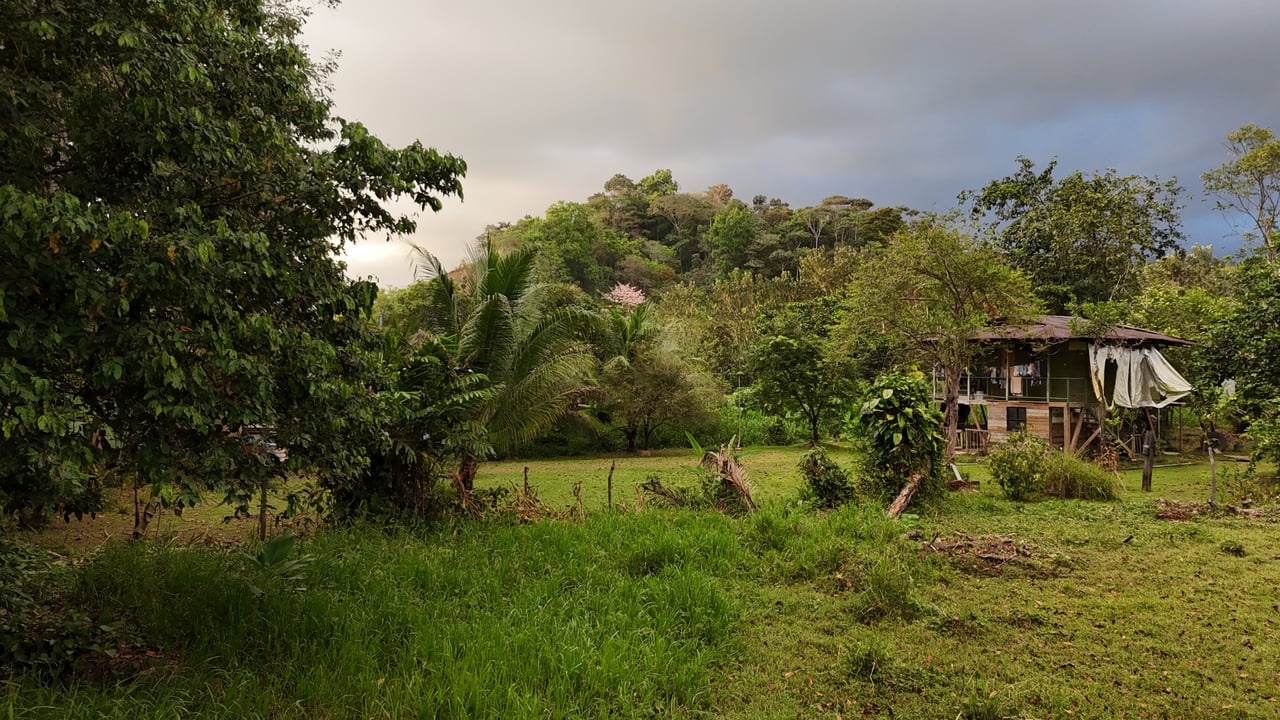 Over 5 Acres Farm in San Buenas