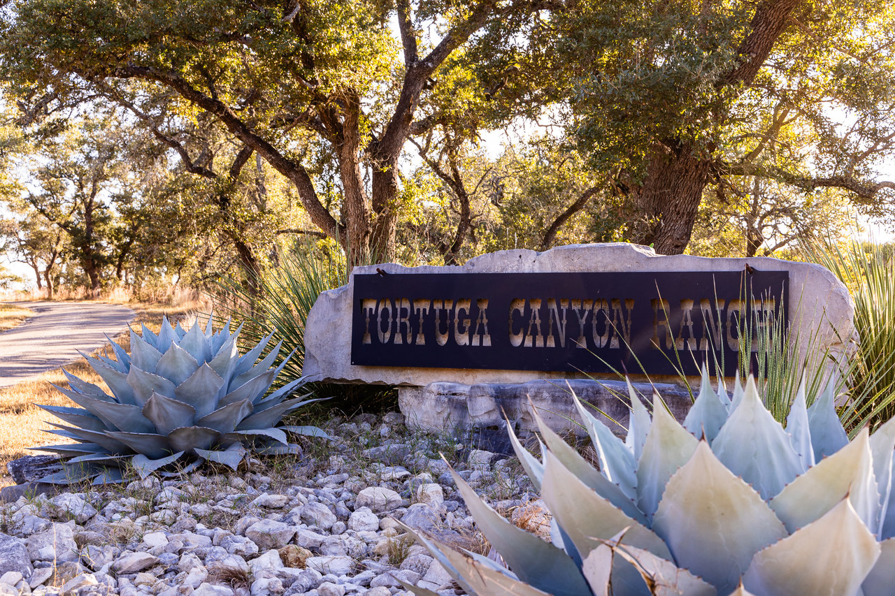 Tortuga Canyon Ranch