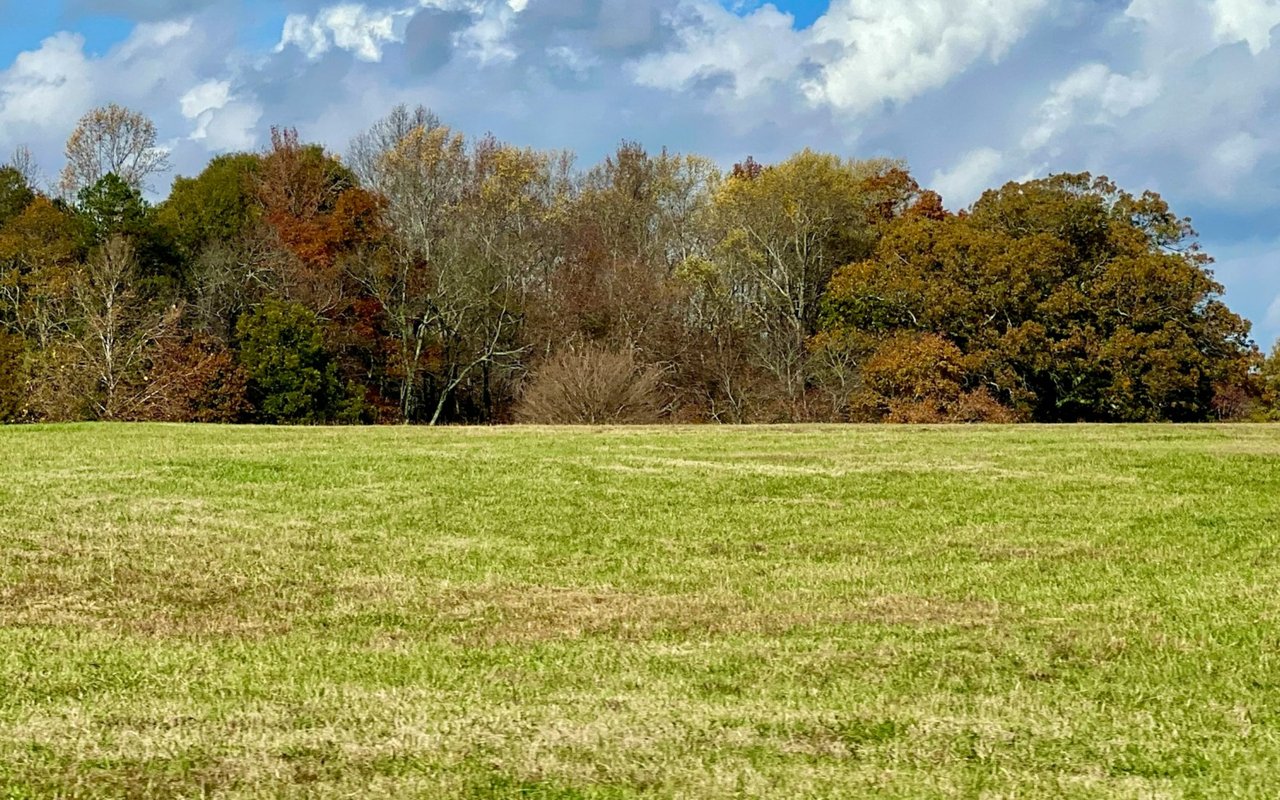 Gaffney