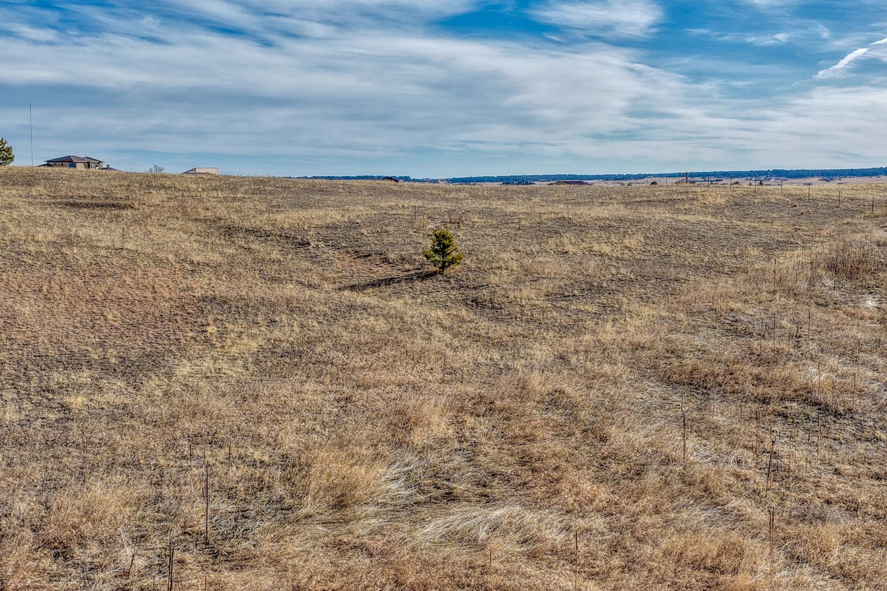 16670 Misfit Crew Heights