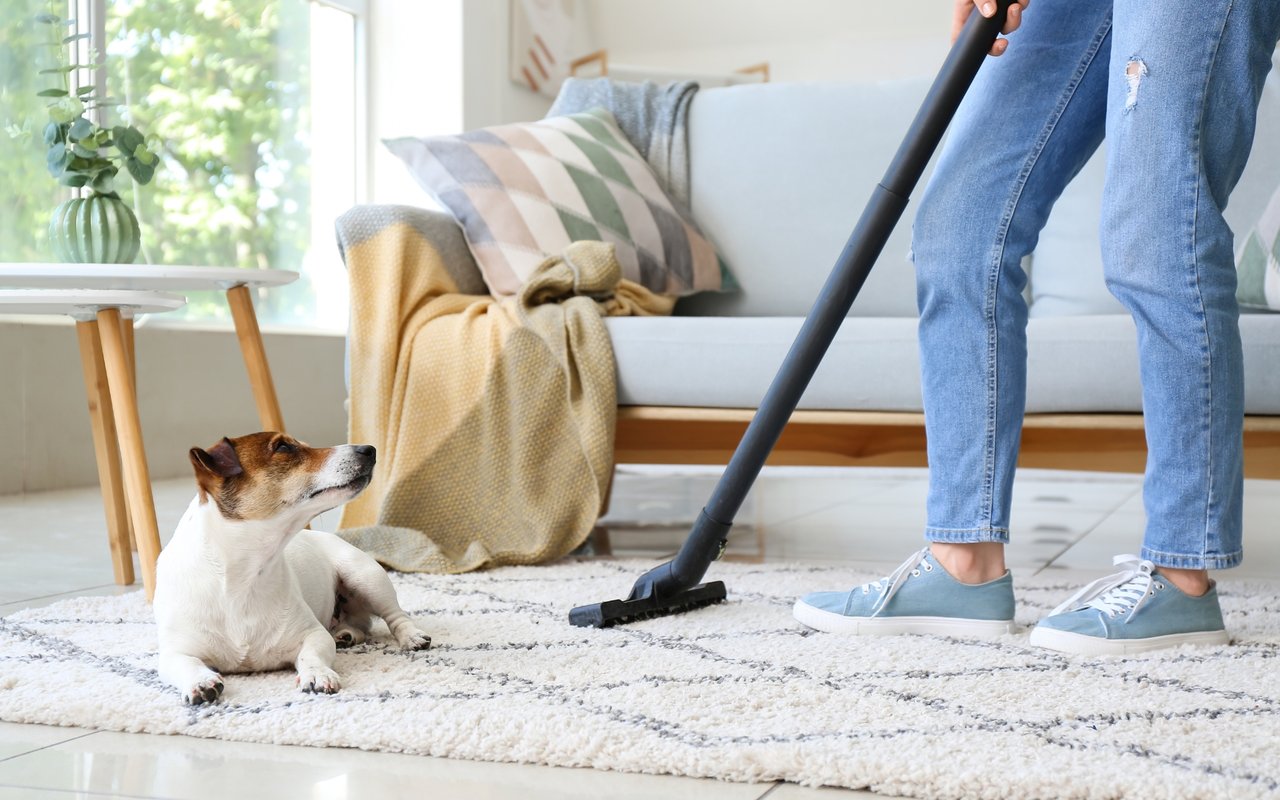 How to Prepare Your Home for a Successful Open House