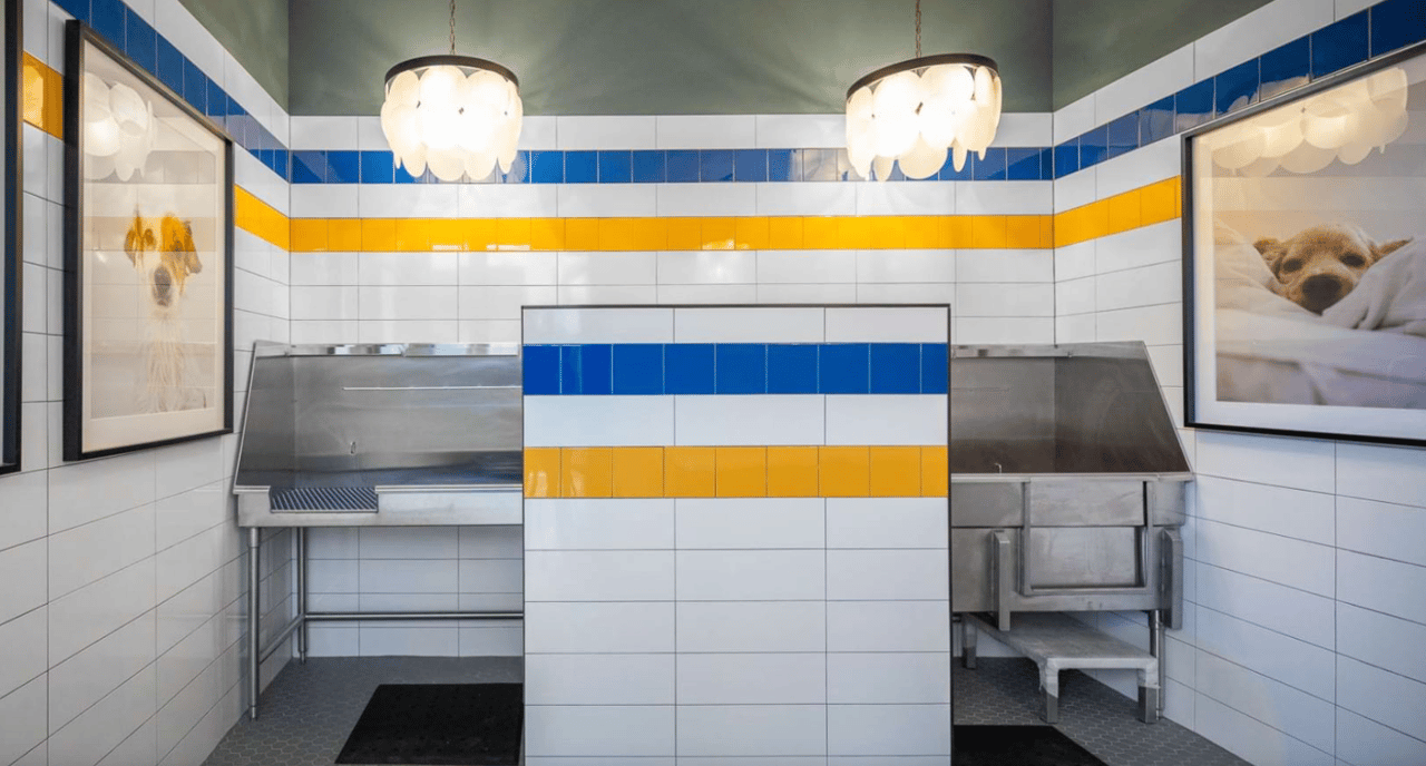 Enjoy up to 8 Weeks Free!