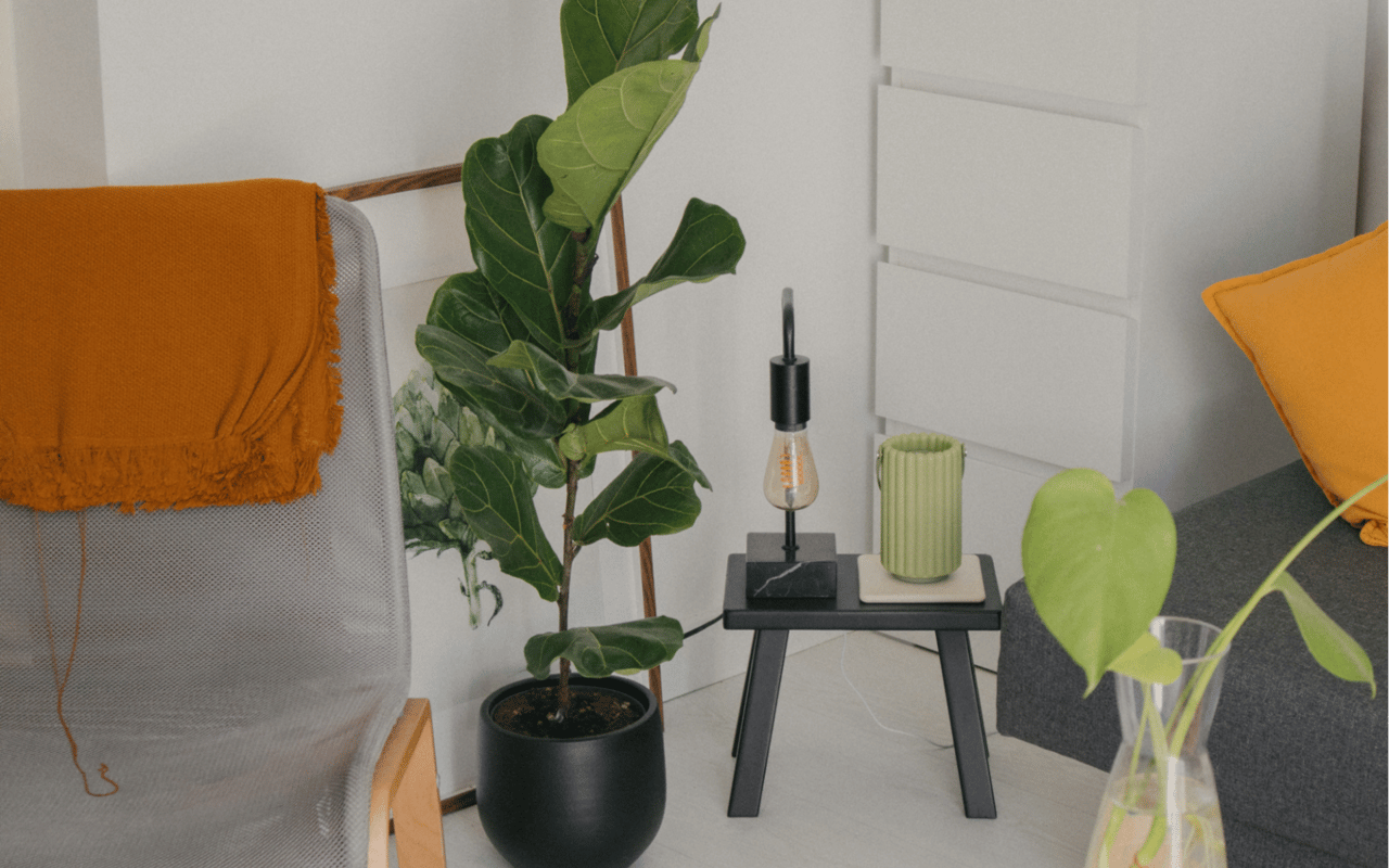 Eco-Friendly and Sustainable Homeownership in Puerto Rico