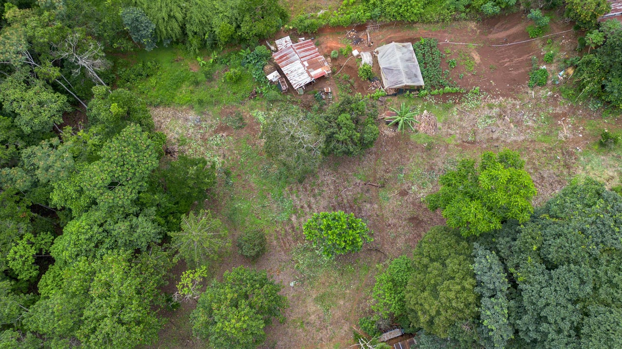  2.5 Acres of Fertile Land with Creek, Ready to Build