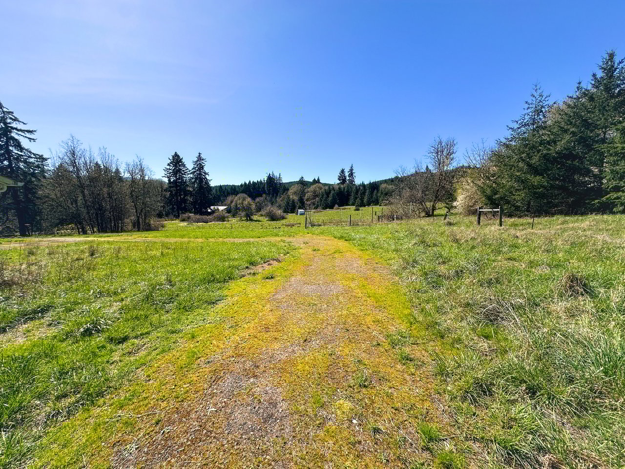 HARRIS FARM & FOREST