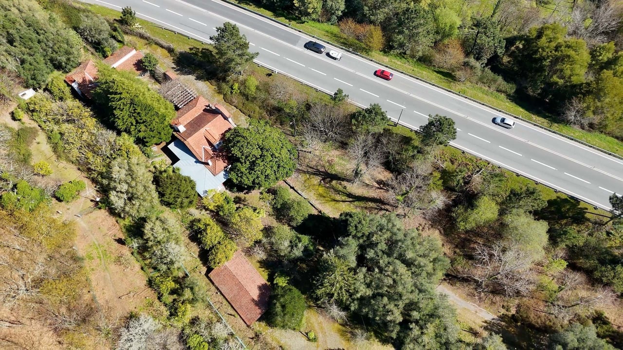 Charming Countryside Estate Near Braga – 11 Acres of Privacy, Potential & Portuguese Character