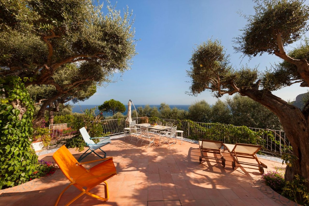 Reintroduce the Villa Bepina