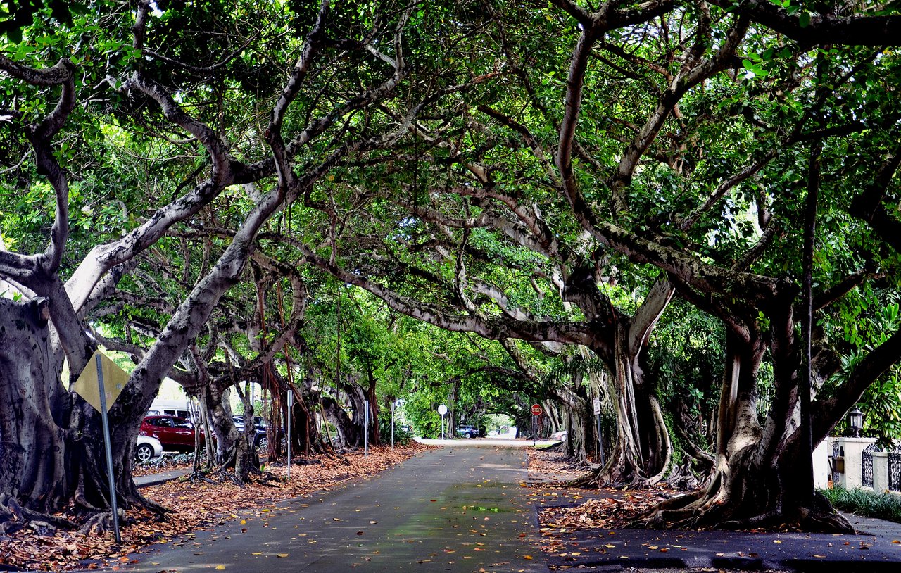 Coral Gables