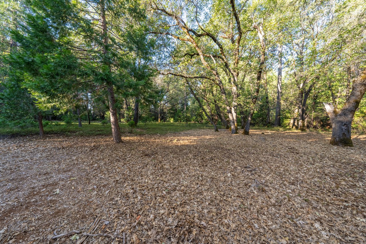 Wooded property clearing with mature trees and a broad, leaf-covered open area.