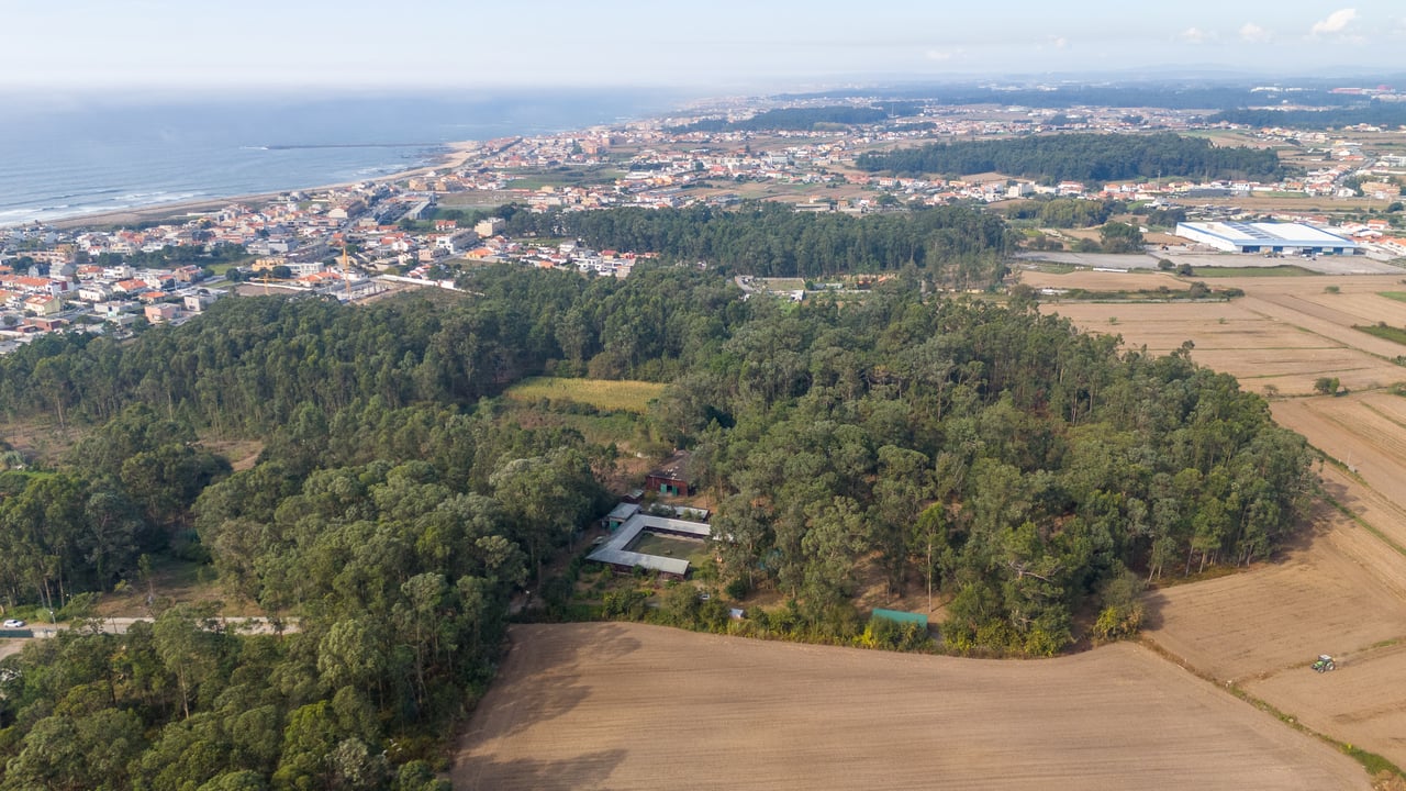 Equestrian Estate in Lavra with 13,000 m² just 800 Meters from the Beach