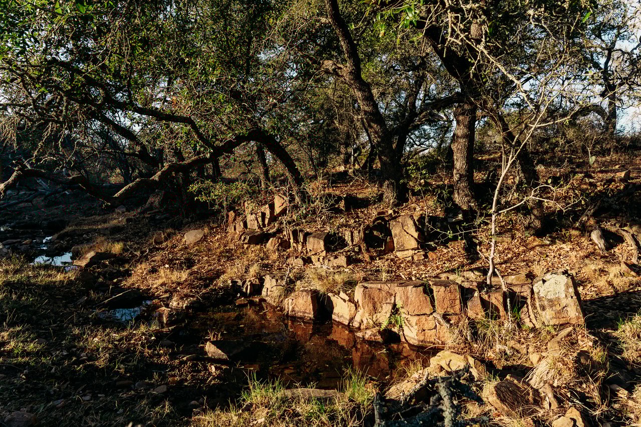 510 Carls Pass Llano County 378 Acres