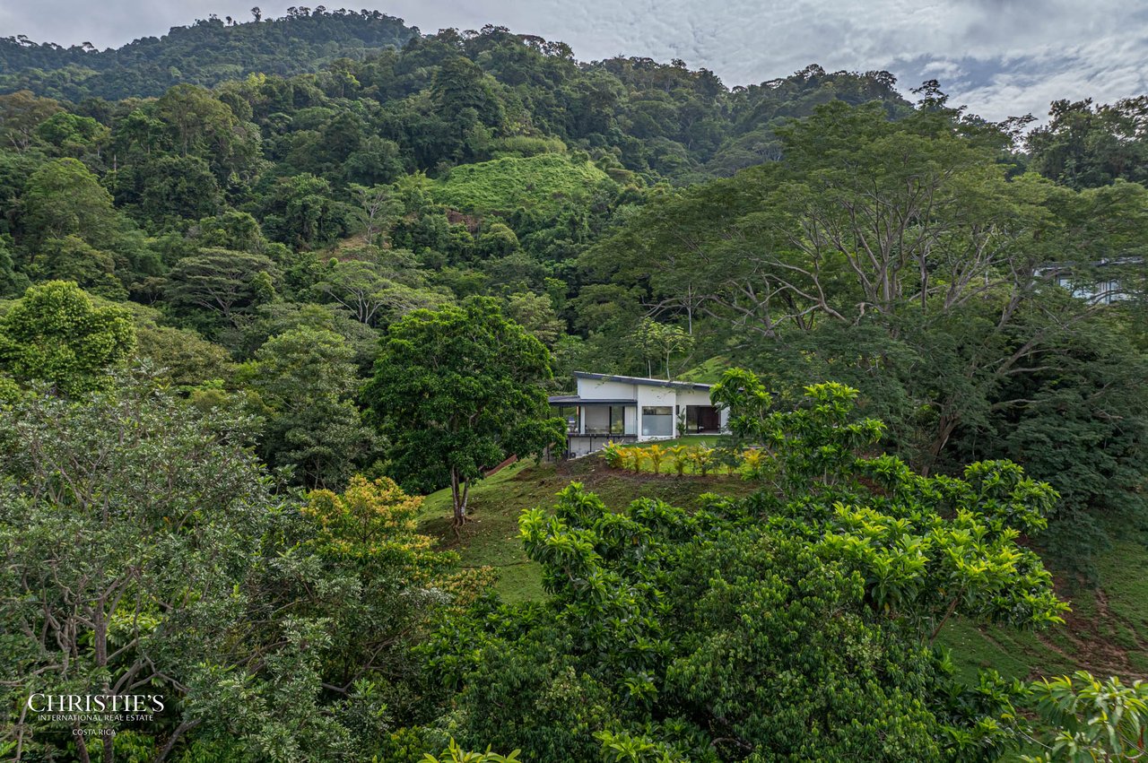 Modern Tropical Home at Las Colinas #23