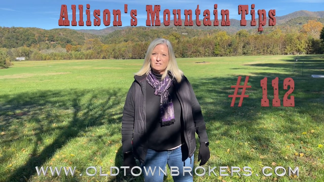Allison's Mountain Tips #112
