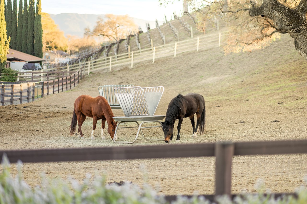 5+/- Acre Los Olivos Retreat