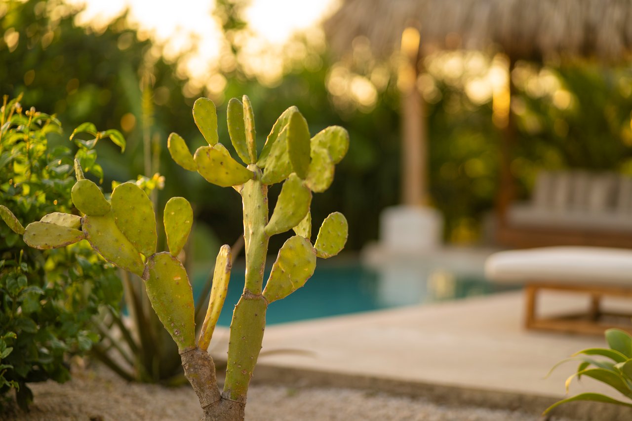 Casa Salinas – 3 beds ocean view home in playa grande