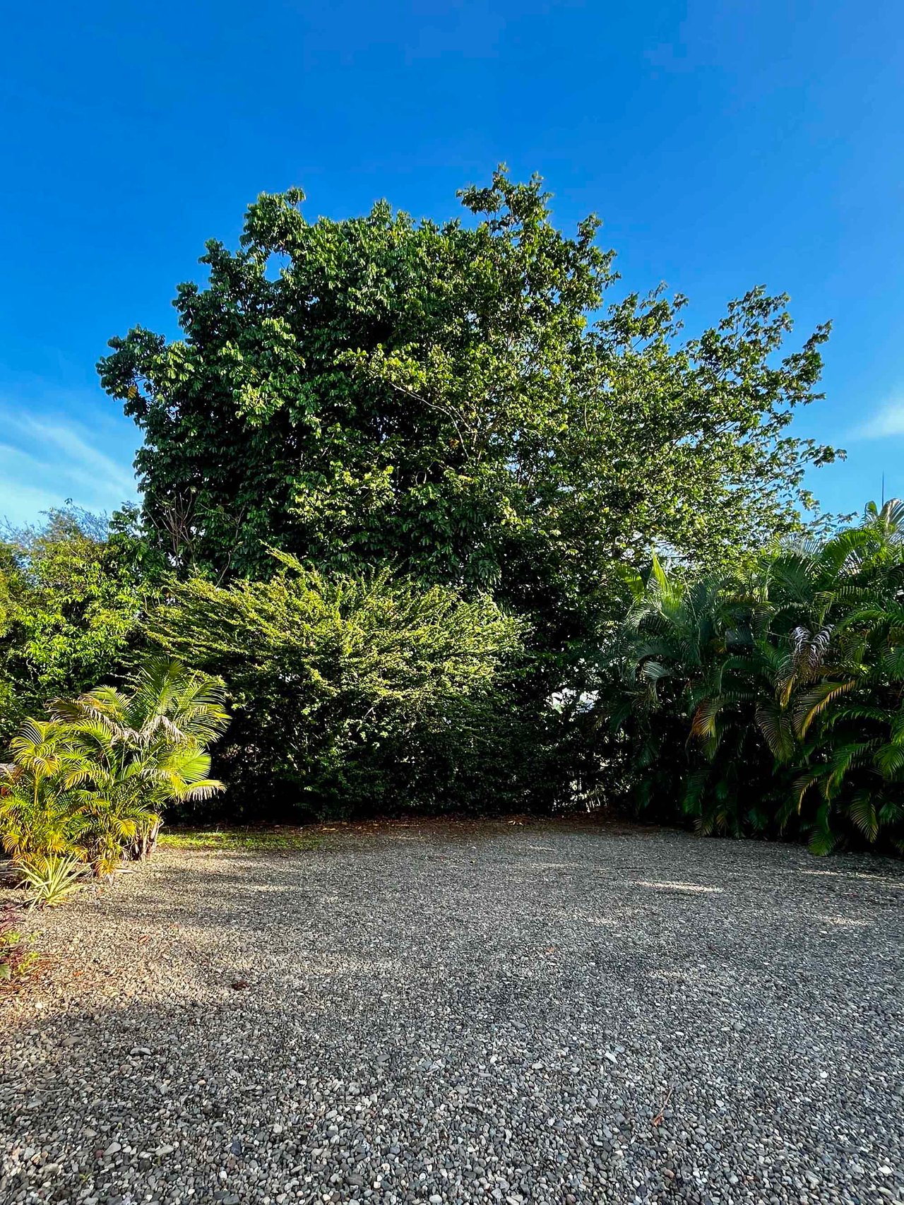 CASA SECRETA: Your Hidden Uvita Escape With Room To Expand – 0.28 Acres