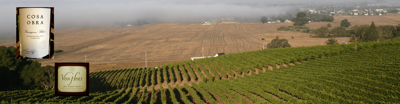 Hummingbird Hill and Pinot Noir Vineyards (SOLD)