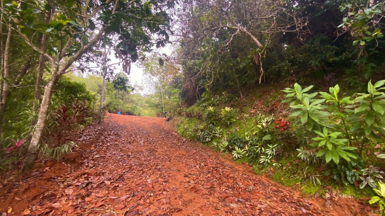 Ocean View Development Land, Ojochal, Puntarenas