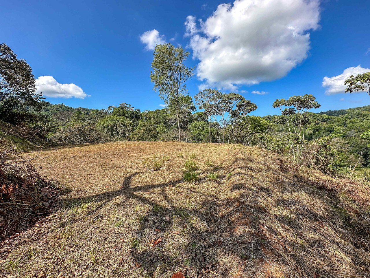 An elevated 1.2 acres lot with two plantels, panoramic mountain and jungle views.