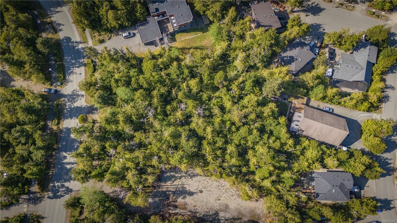 845 Rainforest Dr