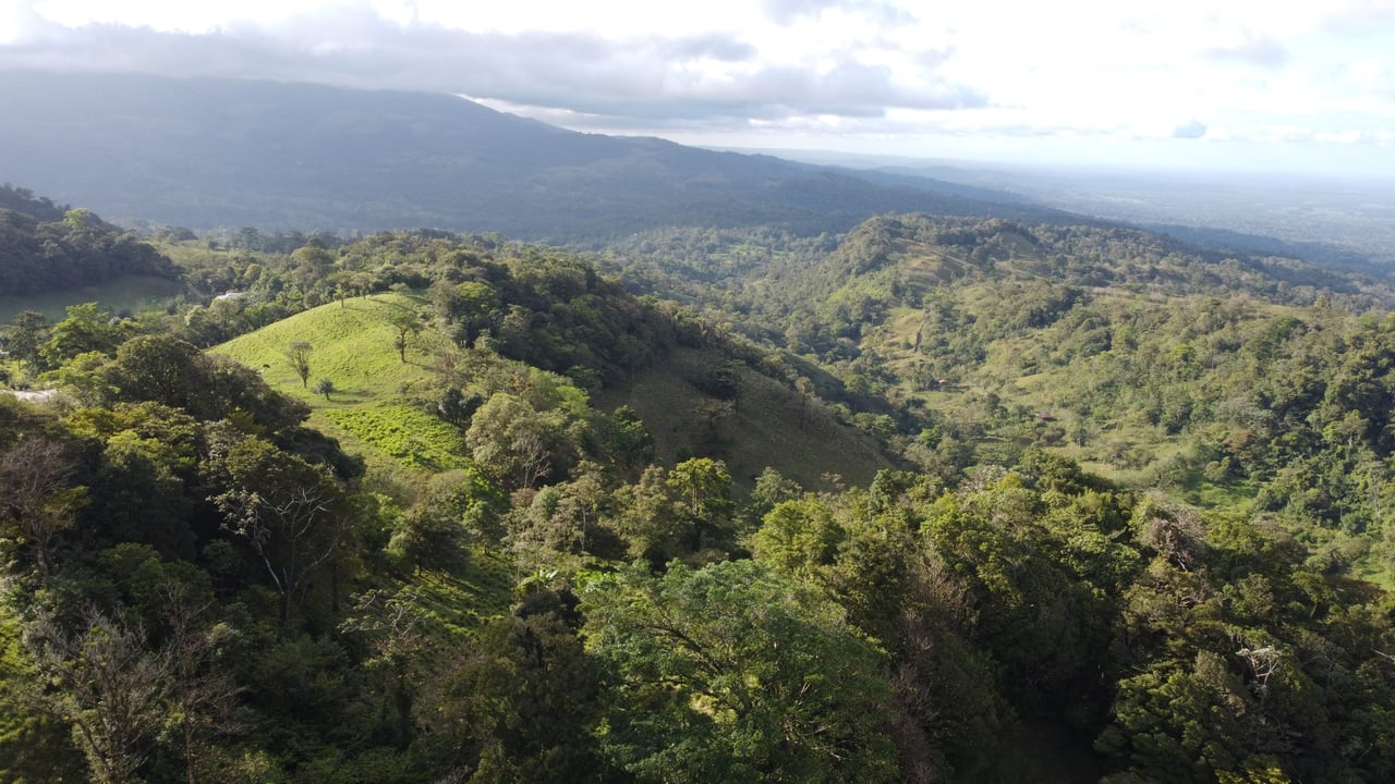 Colina del Tapir | Experience breathtaking views of Lake Nicaragua, with the majestic Concepcion Volcano against the backdrop of Ometepe Island!