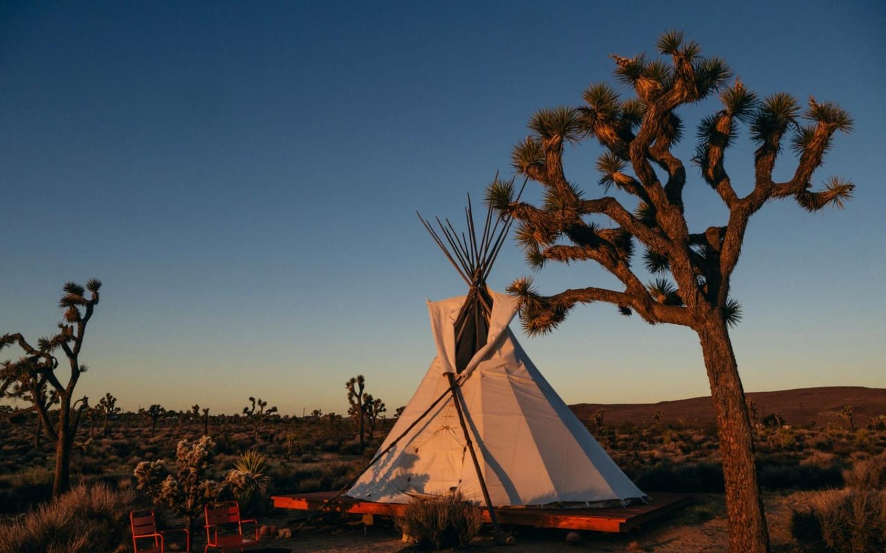 20 Best Joshua Tree Glamping Locations to Book in 2023