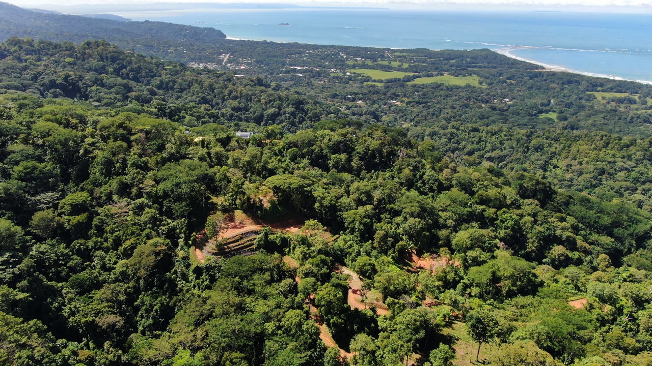Whale Tail View Development Parcel, Uvita, Puntarenas