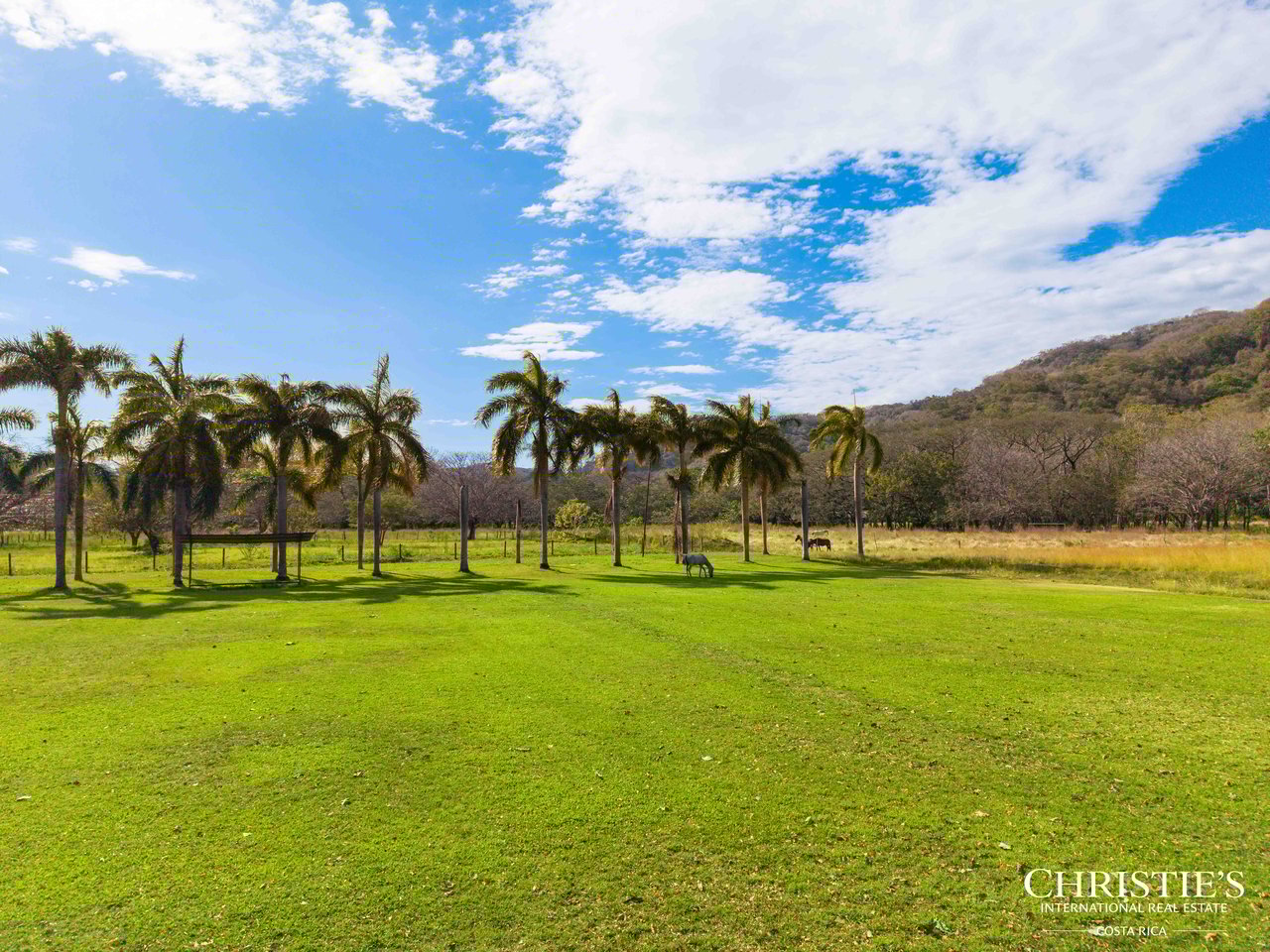 Finca Austria - A 149-Acre Private Estate with Residences, Infrastructure & Expansion Potential.