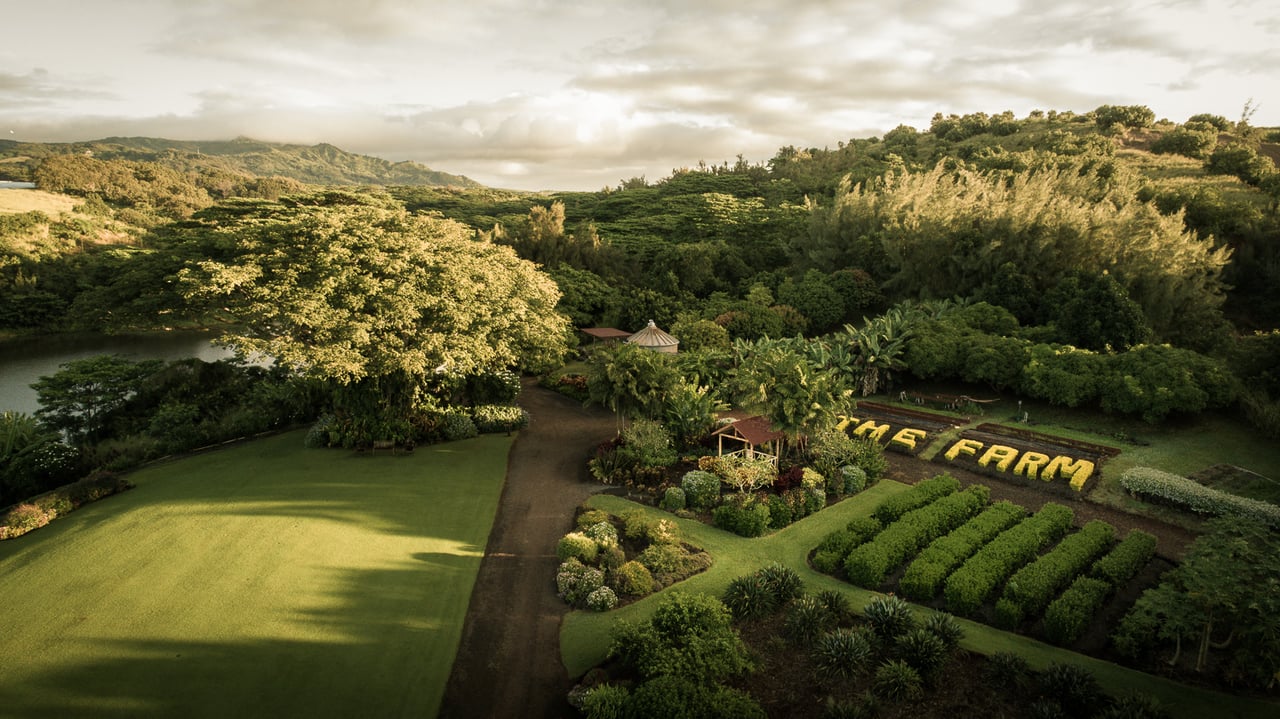 Hale Kiaka: Aepo Nei Custom Home #18