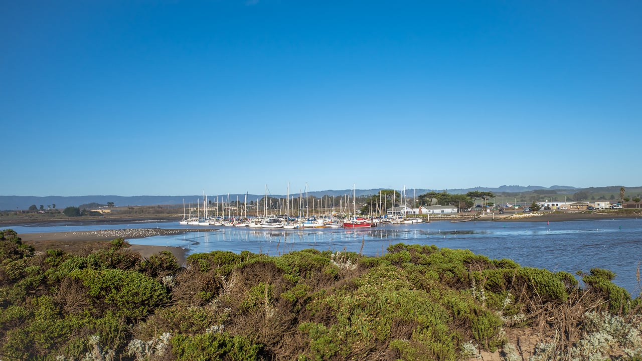 Moss Landing