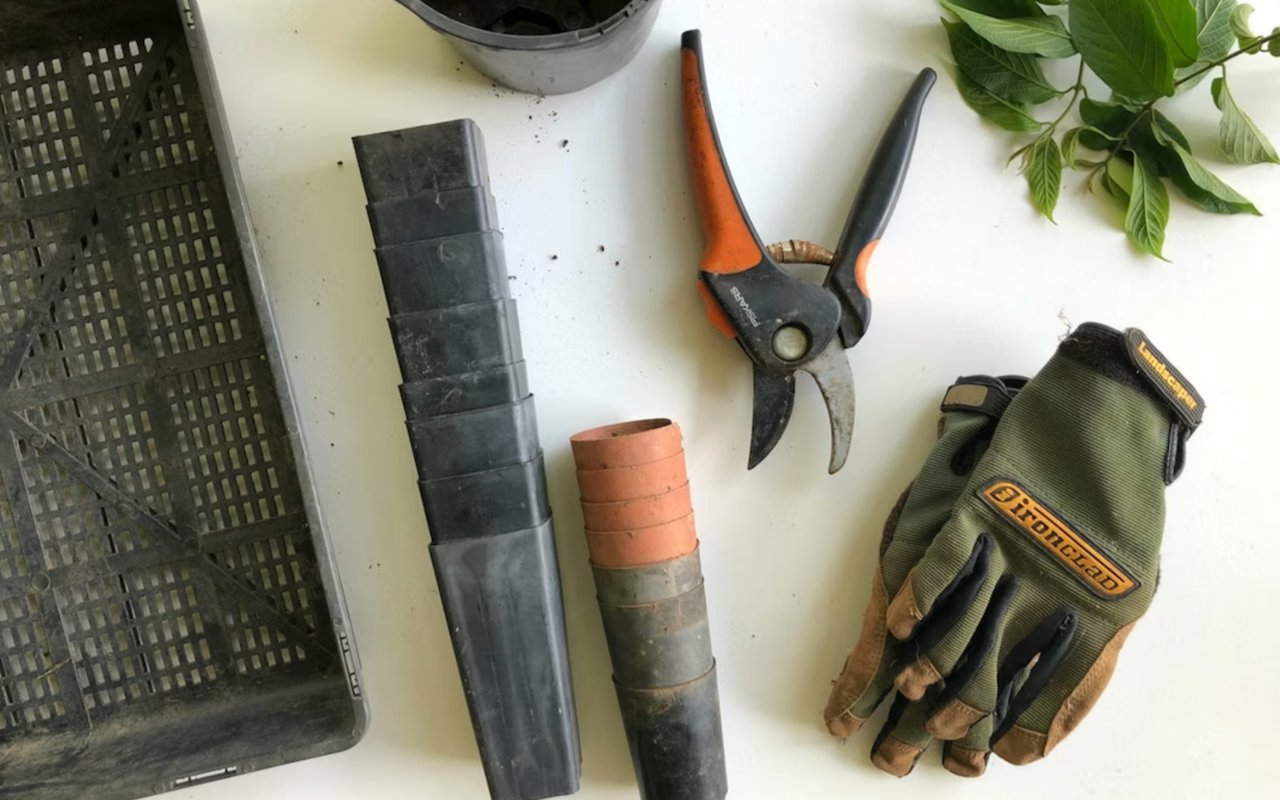 How to Boost Your Home’s Curb Appeal in One Weekend