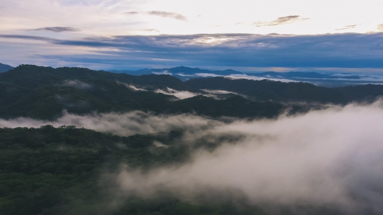  Punta Sabana & Mar Serena