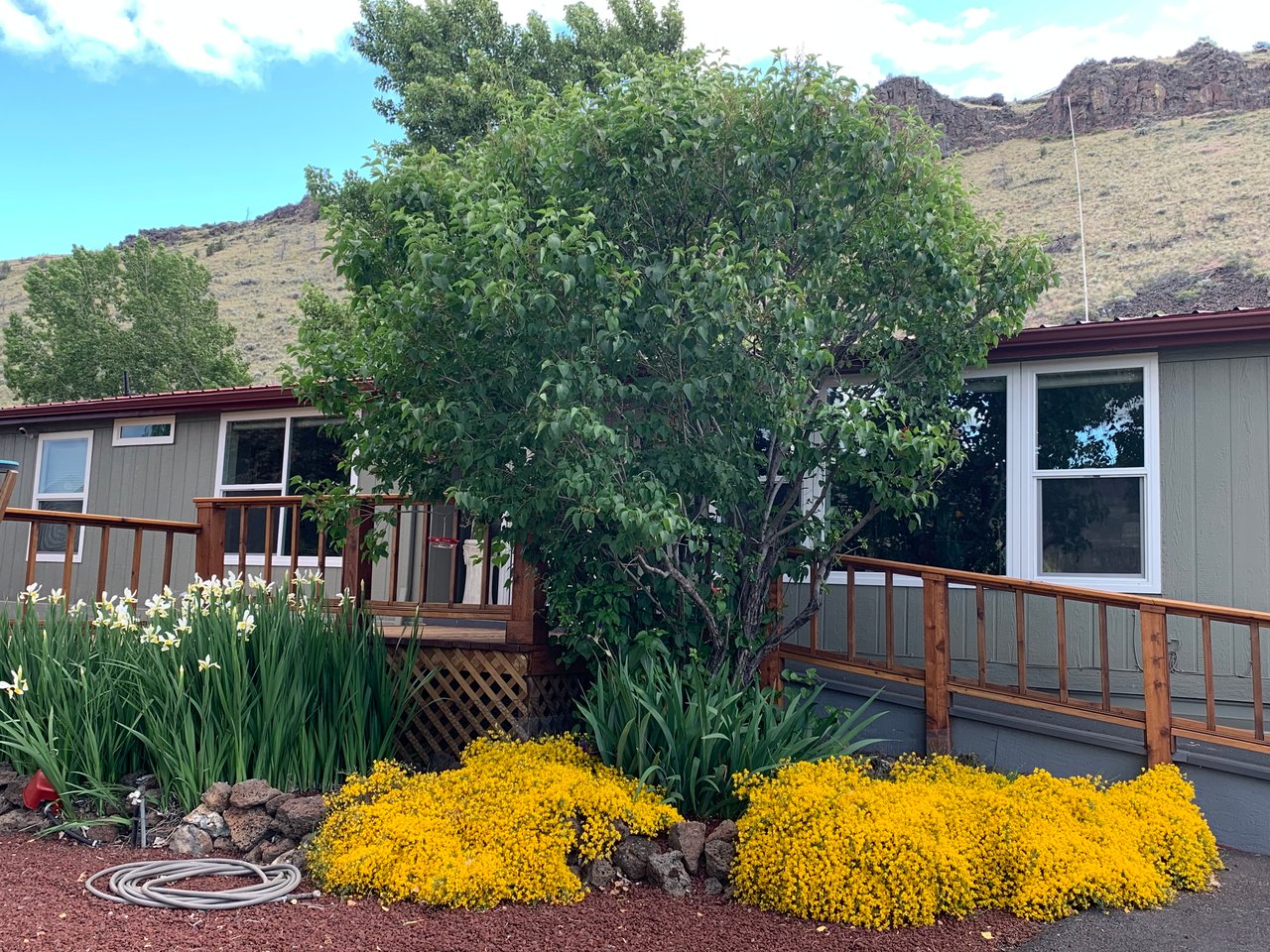 11564 SW Horny Hollow Trail 