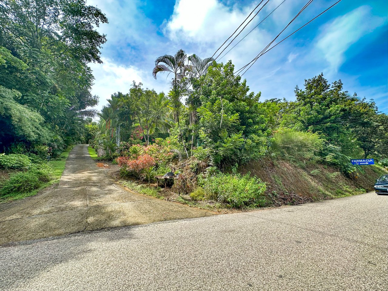 Ojochal Property for Sale – Cabins, Restaurant & 3-Bed Home