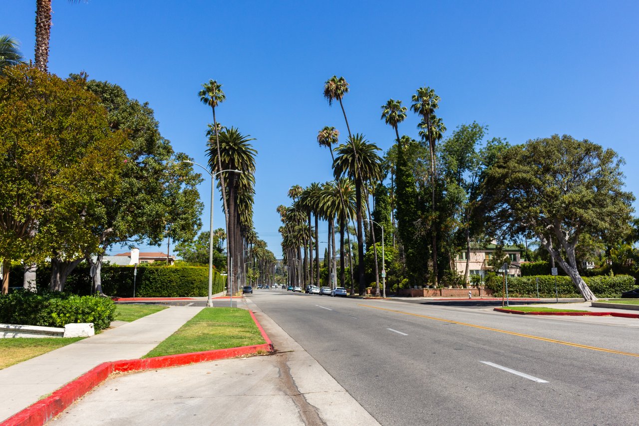 Reseda residential street lined with tall palm trees and leafy yards.
