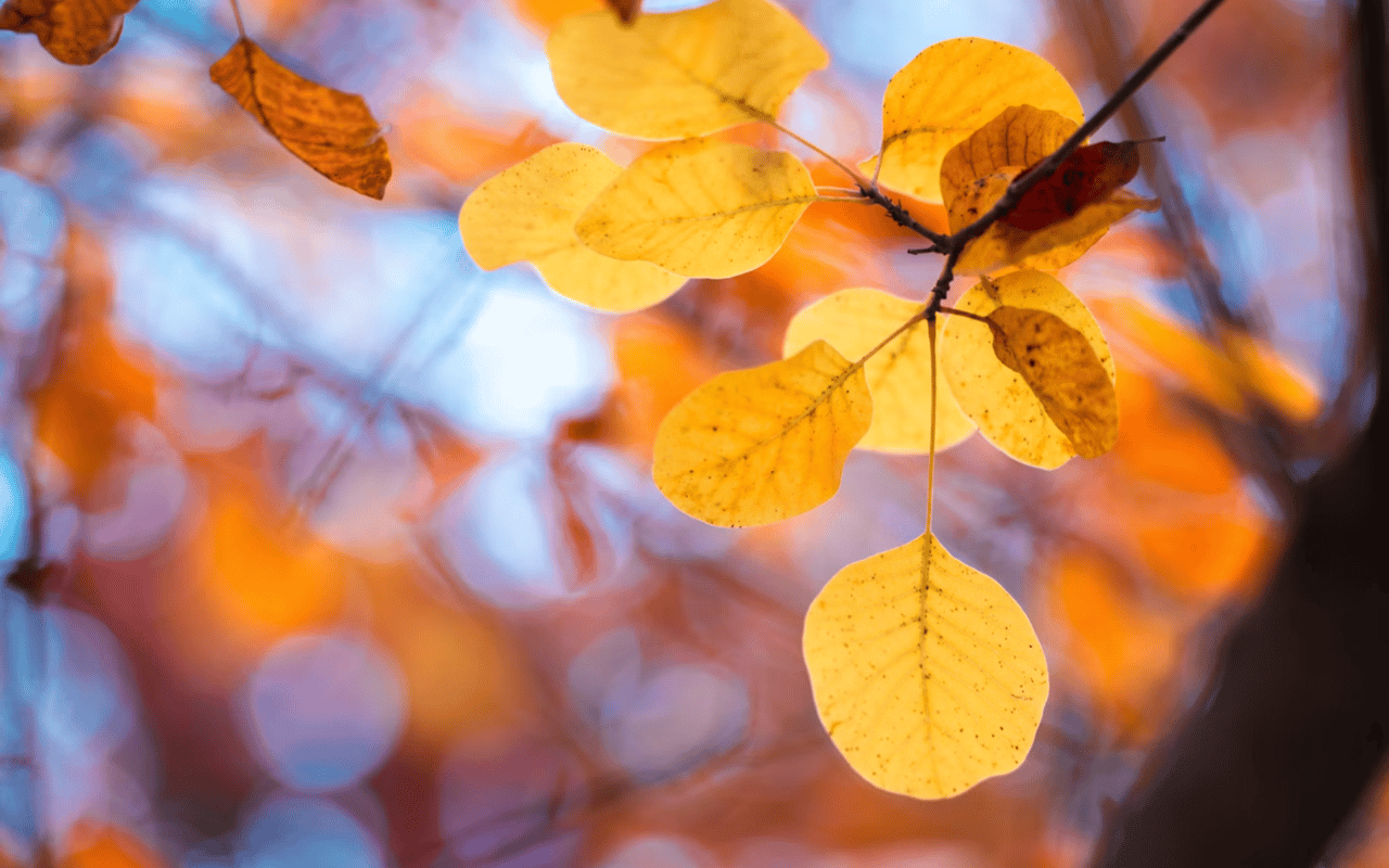 The Impact of Seasonality on the Lake George, NY, Real Estate Market