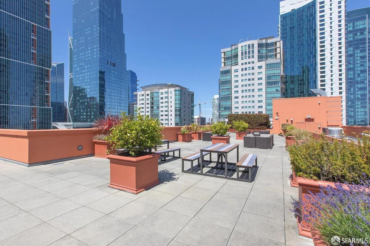 Landscaped rooftop terrace with city skyline views