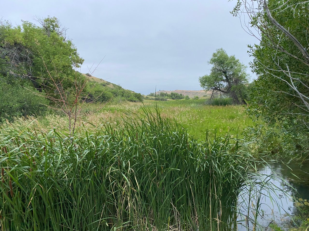 Dutch Creek Ranch 