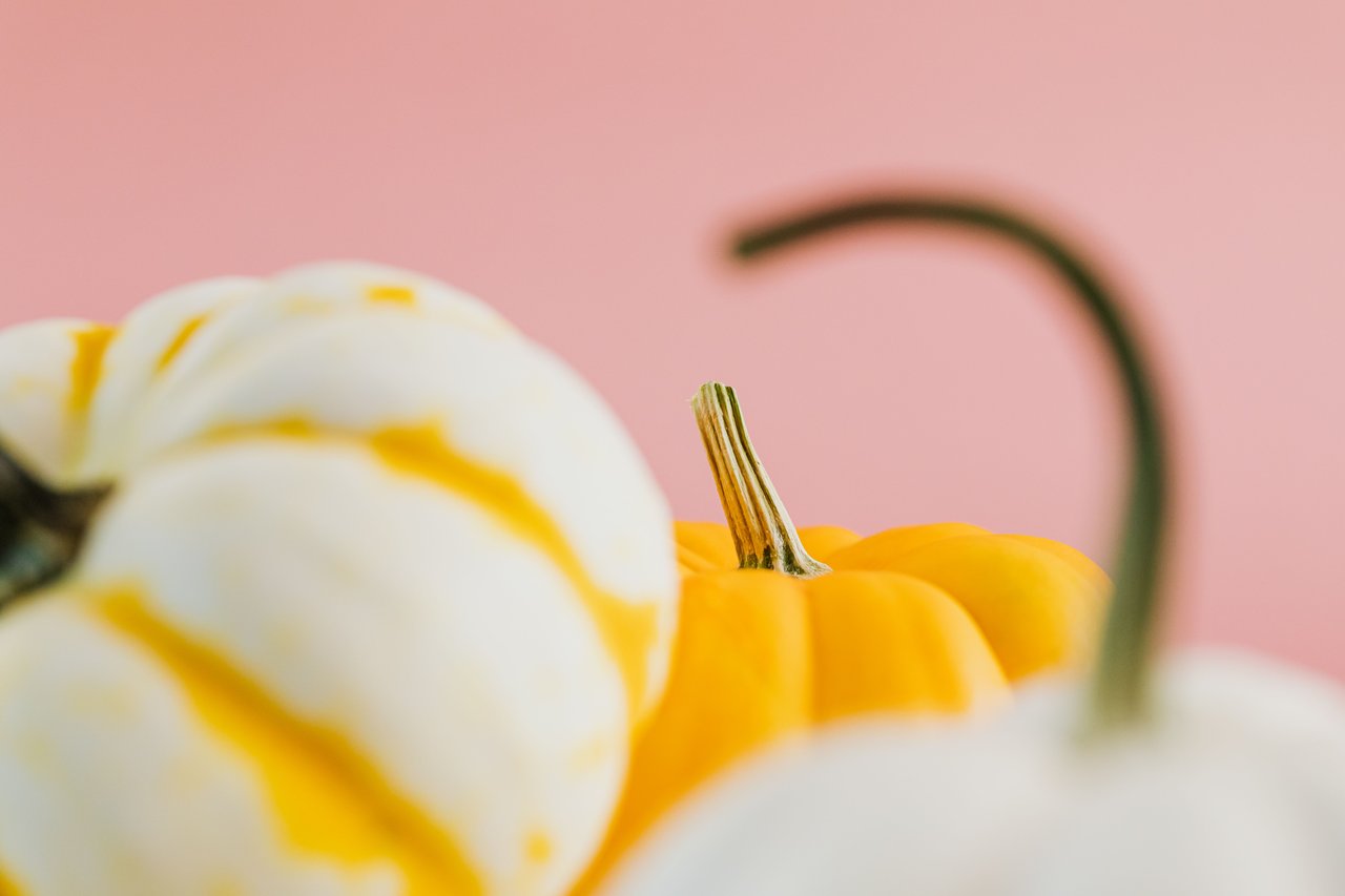 Orange pumpkin nestled among white pumpkins against a pink background.
