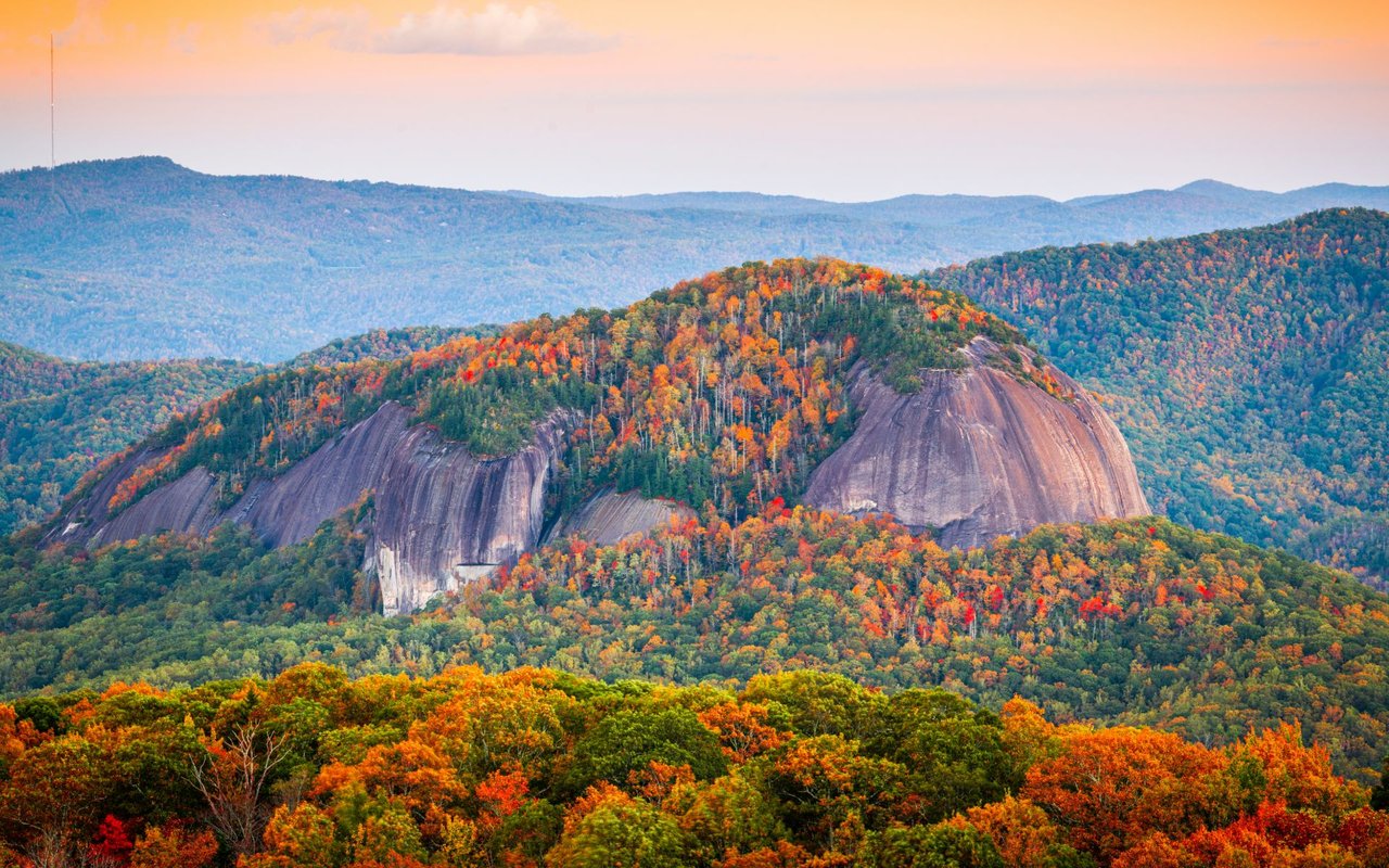 Pisgah forest