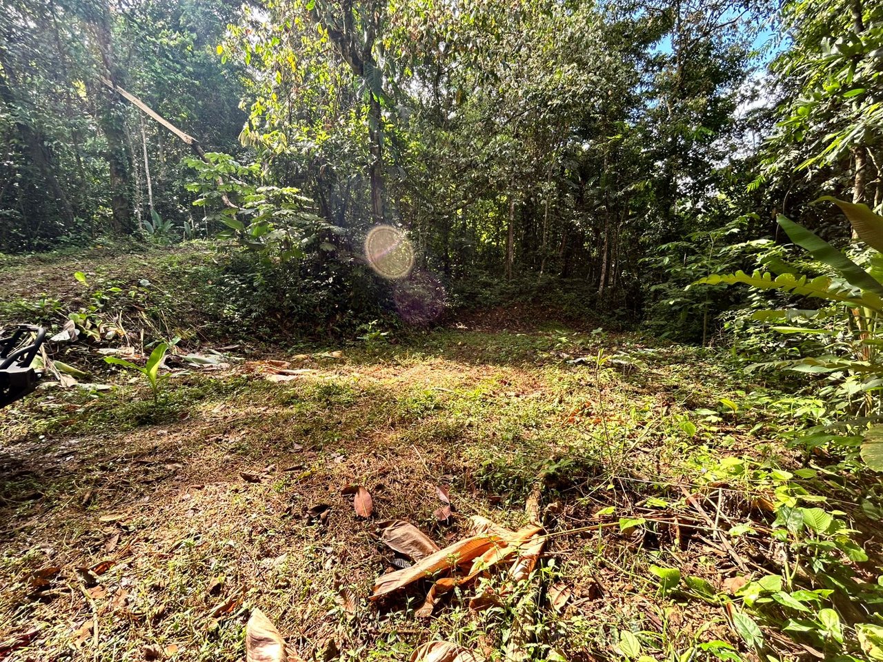 1.4-acre gated lot in Uvita.