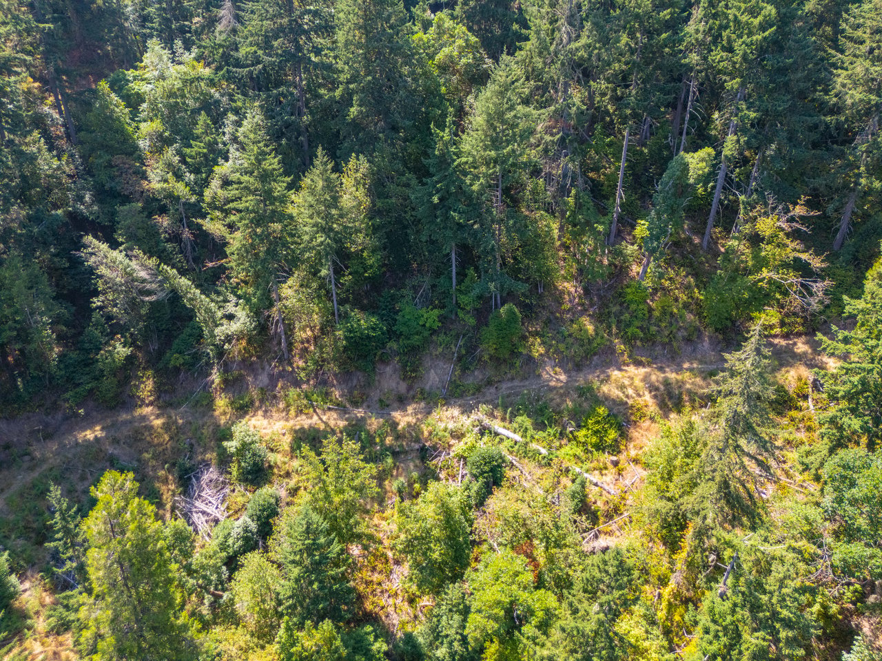 STRICKLAND BOULDER FOREST